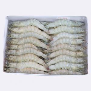 FROZEN HOSO VANNAMEI SHRIMP